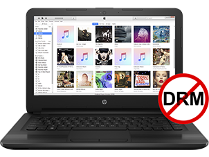iTunes/Apple Music/Audible DRM Removal