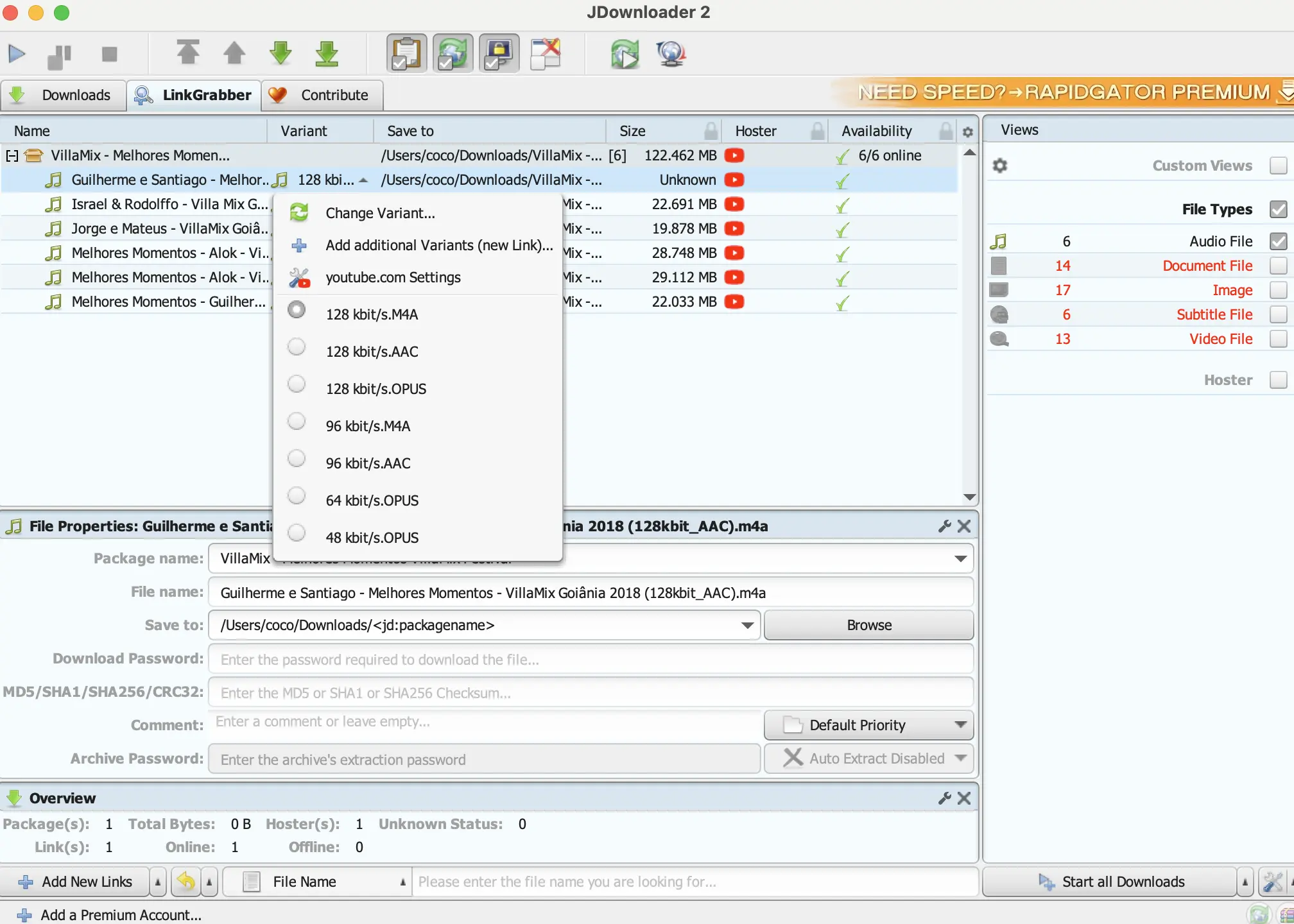 YouTube playlist downloader